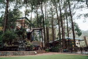 Hotels in Kasauli with Swimming Pools