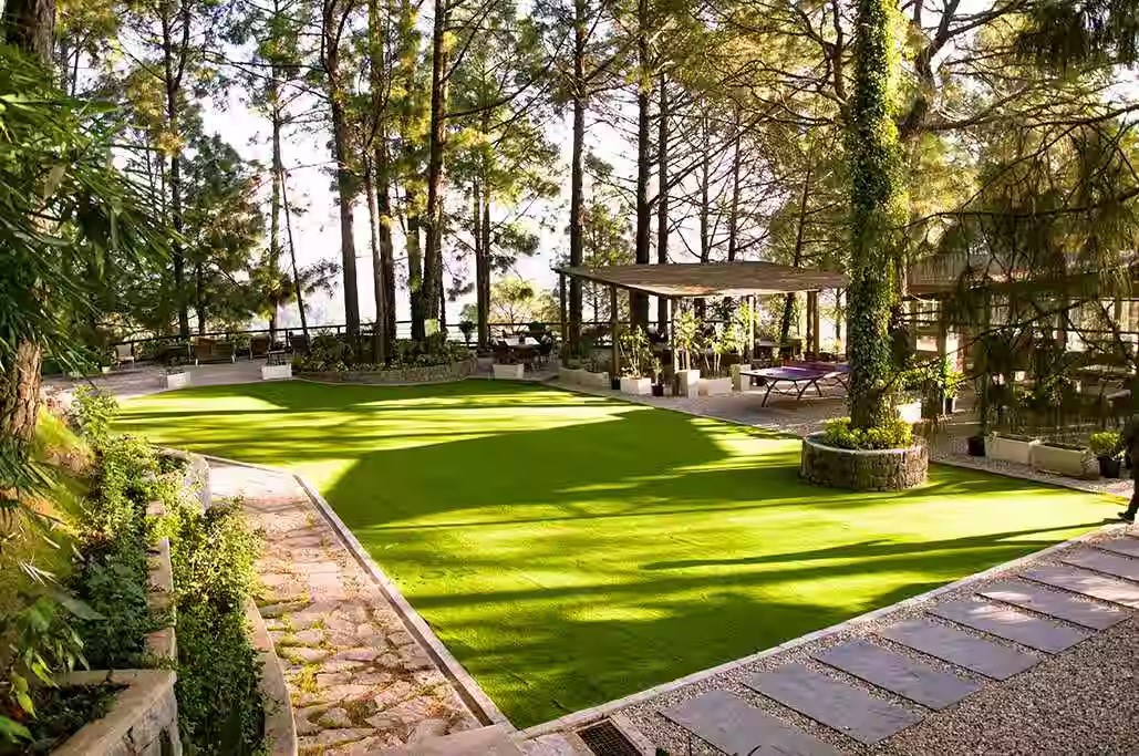 Discover the Best Hotels in Kasauli with Swimming Pools - Kasauli Hills ...