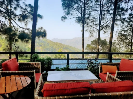 Feel at home amidst the serene hills of Kasauli