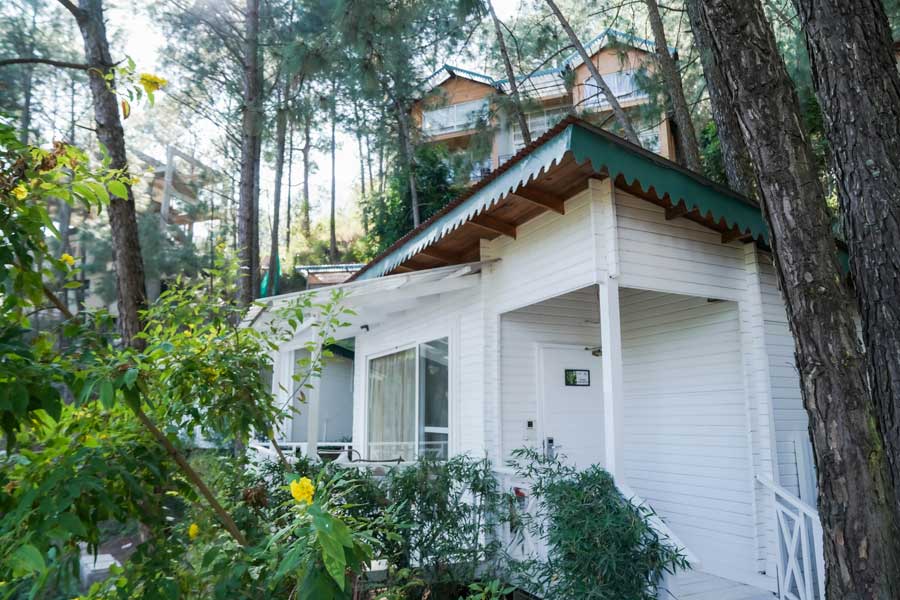 kasauli-hills-resort-super-deluxe-cottage-room-best-luxury-cottages-and-rooms-in-kasauli